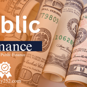 Public Finance