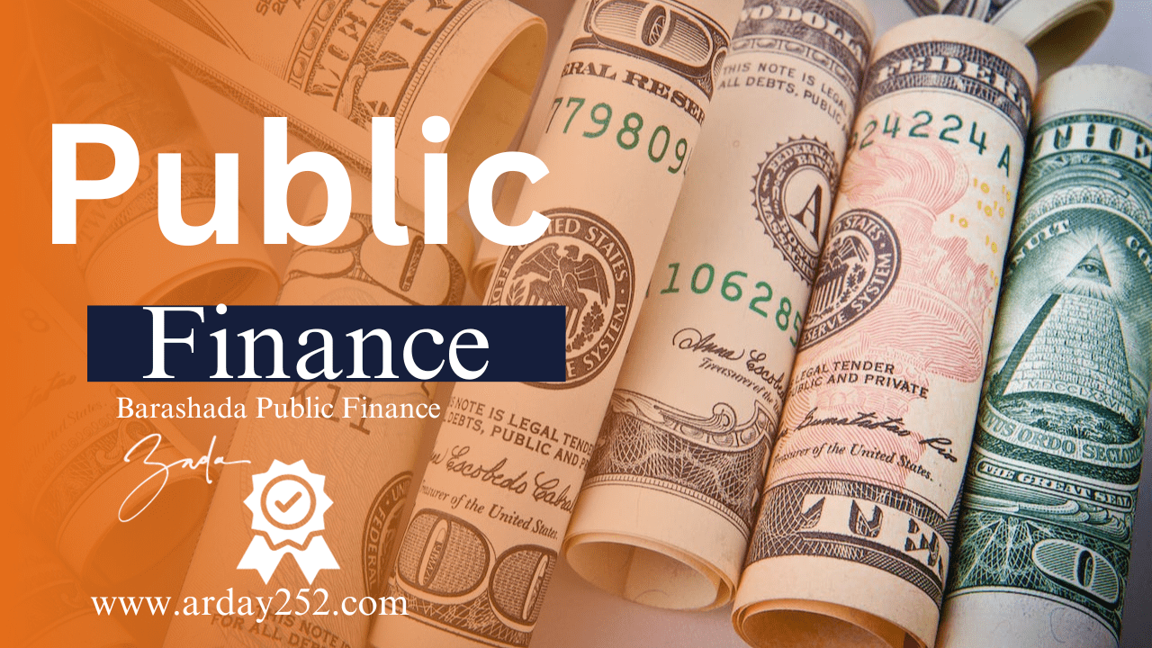 Public Finance